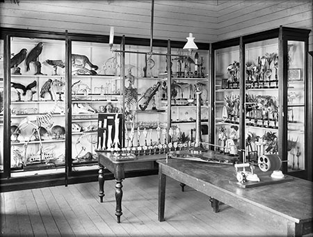 Display of zoological and botanical specimens