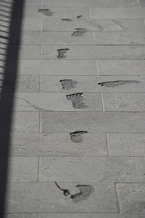 Footprints leading to the Australian Museum’s new entrance