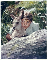 Skippy and Sonny from the TV show Skippy the Bush Kangaroo