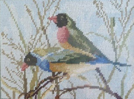 Tapestry depicting Gouldian finches, embroidered for Robyn by Dame Pattie Menzies