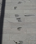 Footprints leading to the Australian Museum’s new entrance