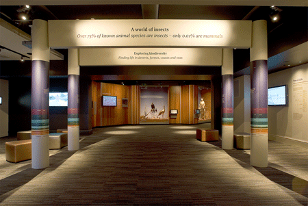 The colonnade meeting place and entrance, with information columns and video screens