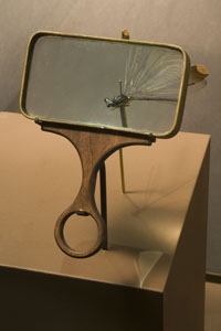 Darwin exhibition magnifying glass