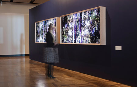 Light Portals, light box diptych, by Jill Bradley, 2013