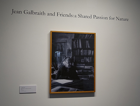 Portrait of Jean Galbraith at the Jean Galbraith and Friends exhibition