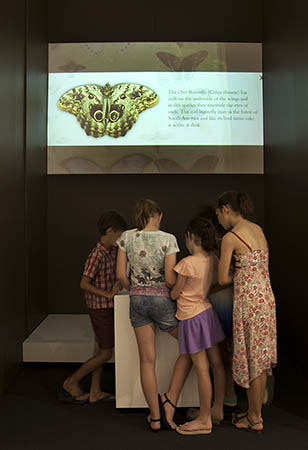 Visitors cluster around a display at the opening of Wallace: The rEvolutionary Man