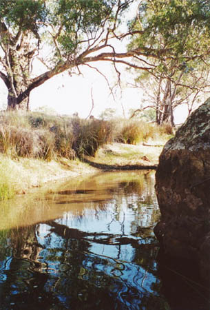 Combaning Creek waterhole, 2001