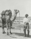 Man and camel thumbnail