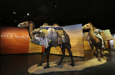 Life-sized replica camels dominate the entrance to the exhibition space